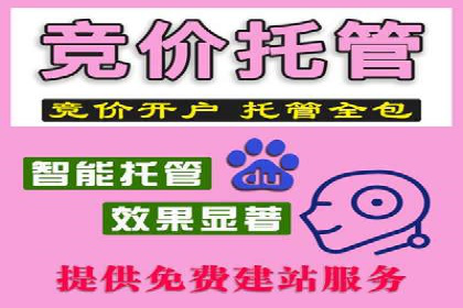 SEM代运营案例：企业增长动力源泉
